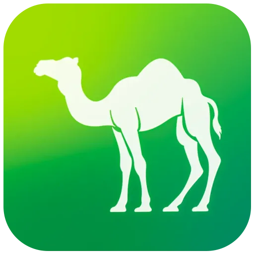 Camel Live